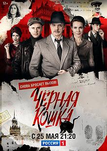 Сериал Чёрная кошка — постер