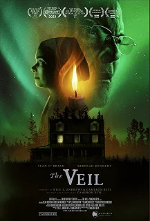 Постер Пелена (The Veil)